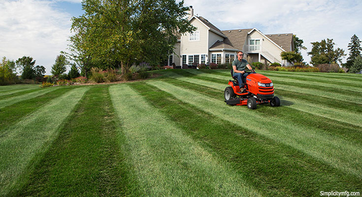The Most effective Way To Mow A Lawn Is Not To Mow It At All
