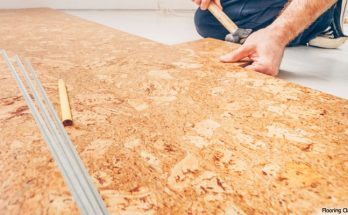 Cork Flooring Vs Hardwood Flooring - Which can be Far better?