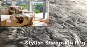 The Naturally Stylish Sheepskin Rug Fits Right In