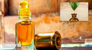 Differences Amongst Brown, Yellow, And White Camphor Oil