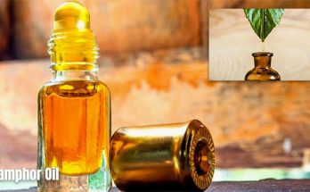 Differences Amongst Brown, Yellow, And White Camphor Oil
