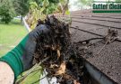 Gutter Cleaning Services Close to You