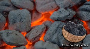 Charcoal Briquettes for Odor Removal