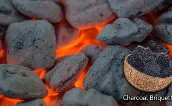 Charcoal Briquettes for Odor Removal
