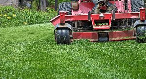 The Different Types of Lawn Maintenance Jobs