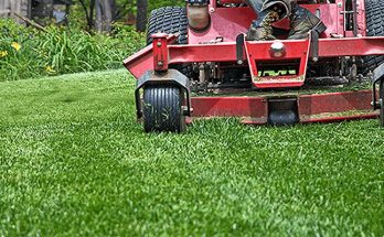 The Different Types of Lawn Maintenance Jobs