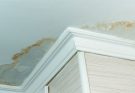 Facing Water Damage