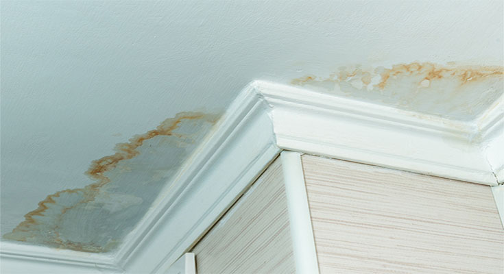 Facing Water Damage