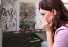 What Types of Home Mold Are Looming in Your Home?