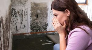 What Types of Home Mold Are Looming in Your Home?