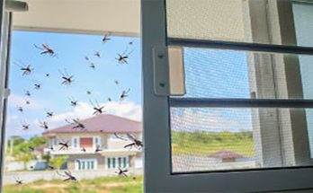 Bespoke Fly Screens for Your Home