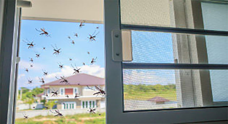 Bespoke Fly Screens for Your Home