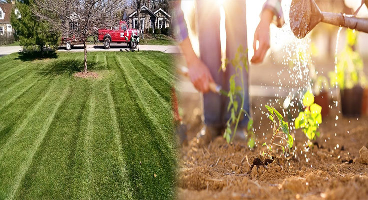 Effective Organic Lawn Care Practices