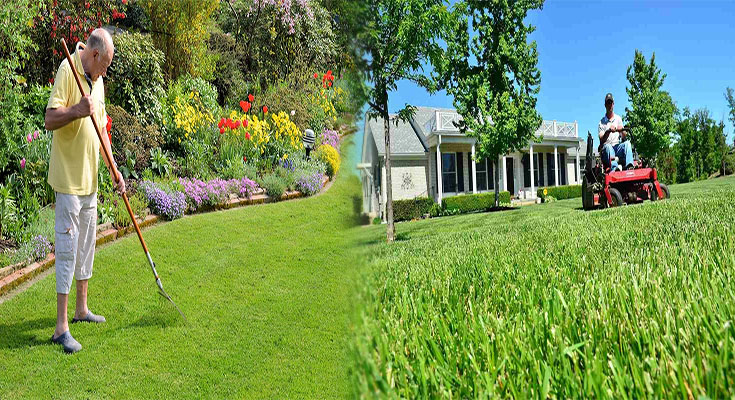 Seasonal Lawn Care and Maintenance Guide