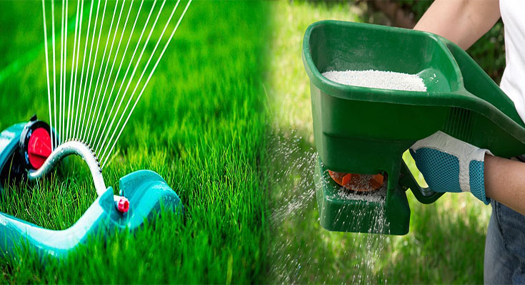 Watering and Fertilizing Tips for a Lush Lawn
