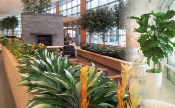Enhancing Your Home with Indoor Plants and Interior Landscaping