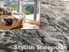 The Naturally Stylish Sheepskin Rug Fits Right In